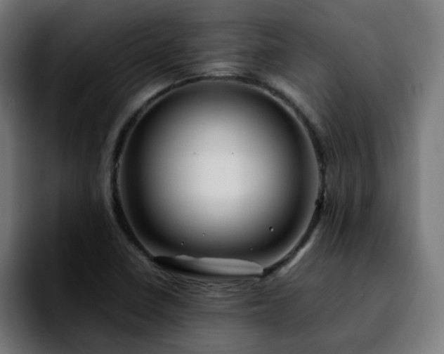 X0000092211410200709210941