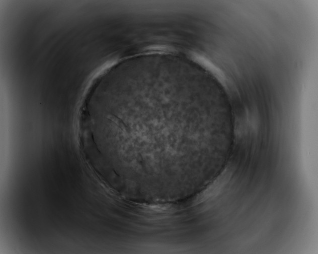 X0000092211411200709210941