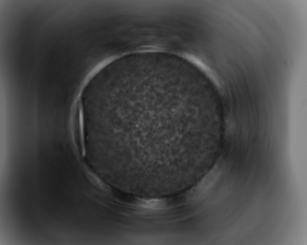 X0000092211413200709210941