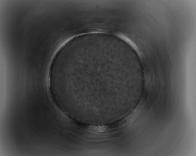 X0000092211415200709210941