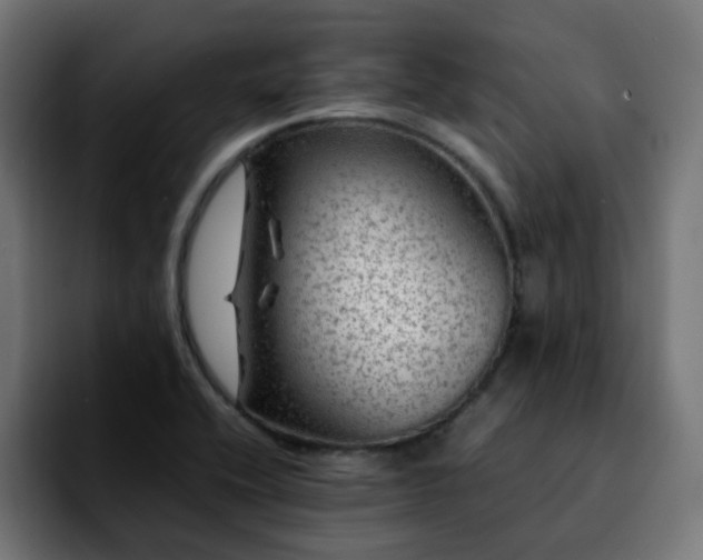 X0000092211416200709210941