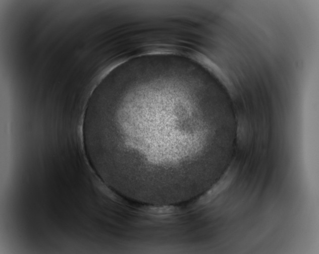 X0000092211417200709210942