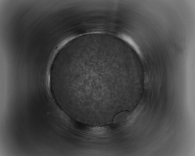 X0000092211419200709210942