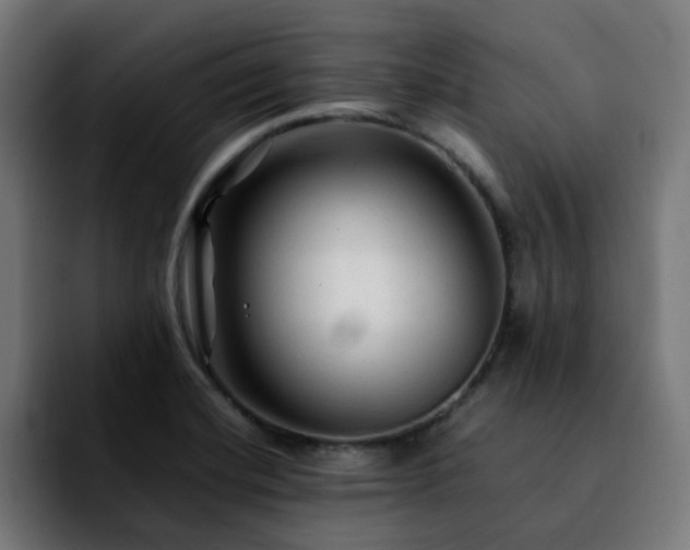 X0000092211420200709210942