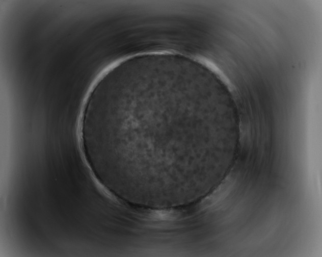 X0000092211421200709210942