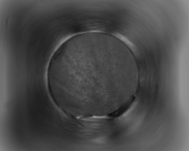 X0000092211423200709210942