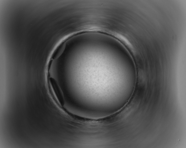 X0000092211424200709210942