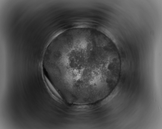 X0000092211425200709210942