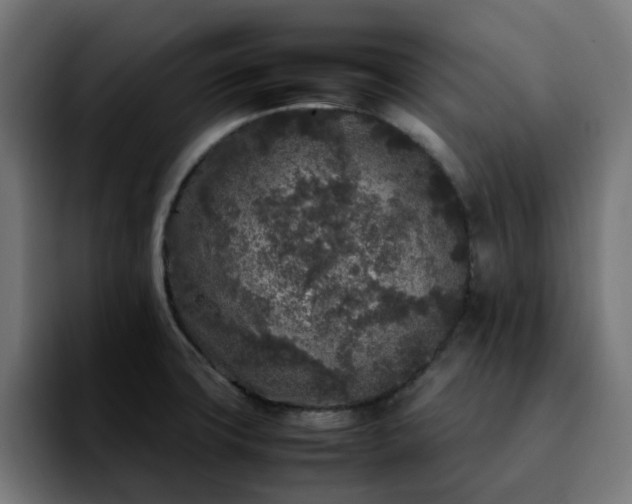 X0000092211427200709210942