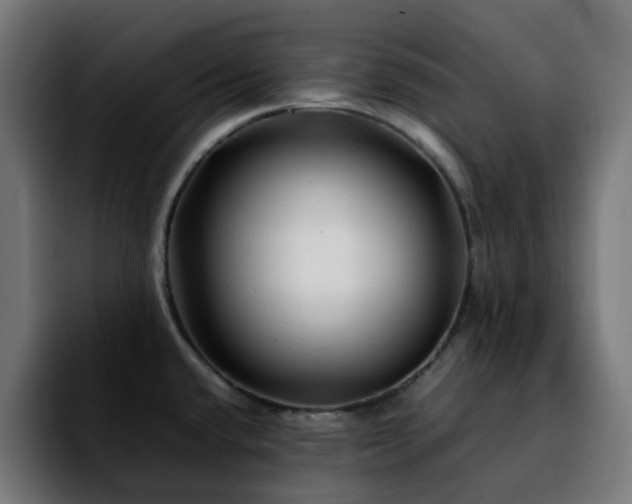 X0000092211432200709210942