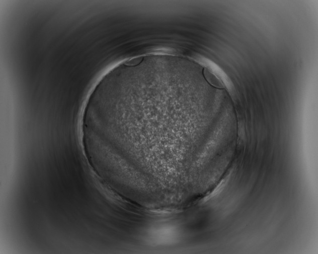 X0000092211435200709210942