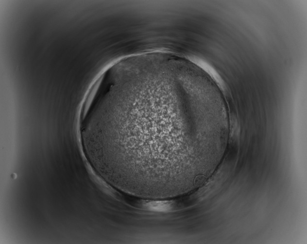 X0000092211439200709210942