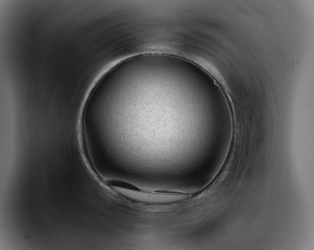 X0000092211440200709210942