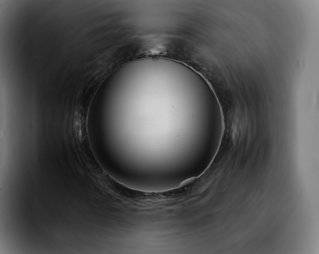 X0000092211442200709210941