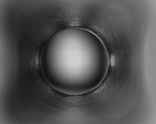 X0000092211444200709210941