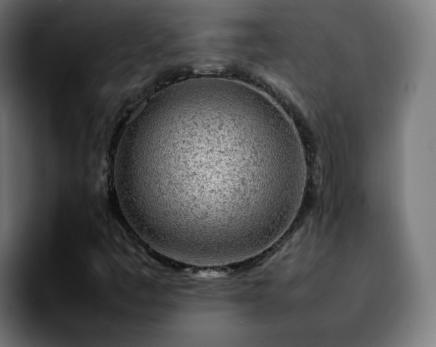 X0000092211445200709210941