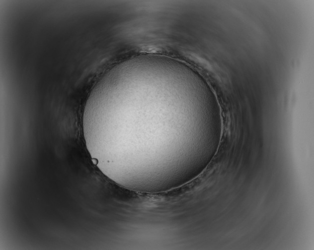 X0000092211446200709210941