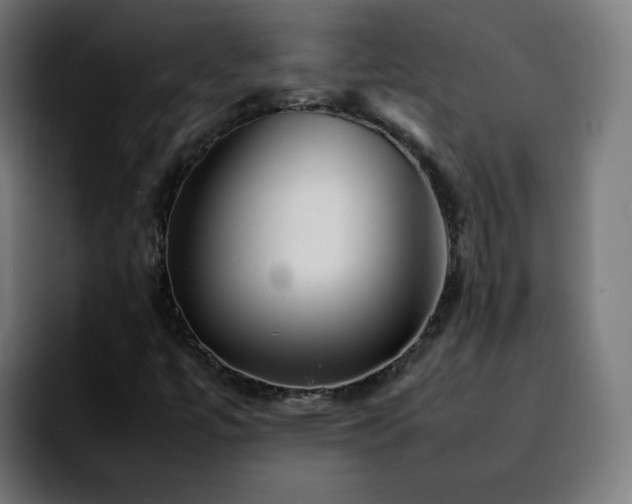 X0000092211447200709210941