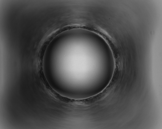 X0000092211448200709210941