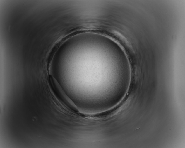 X0000092211449200709210941