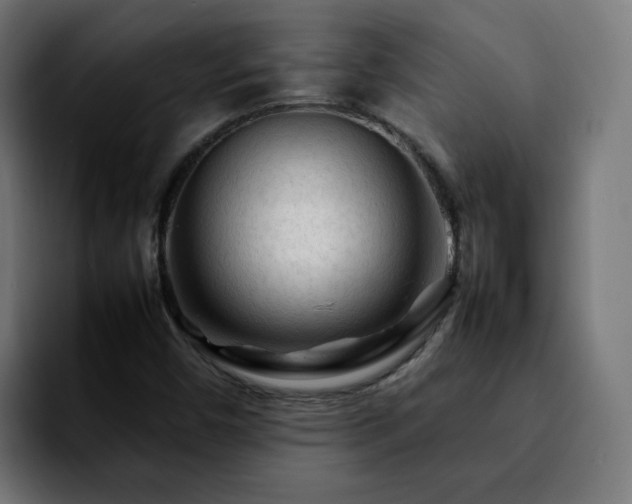 X0000092211450200709210941