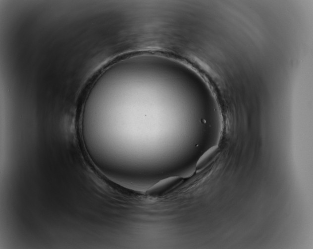 X0000092211452200709210941