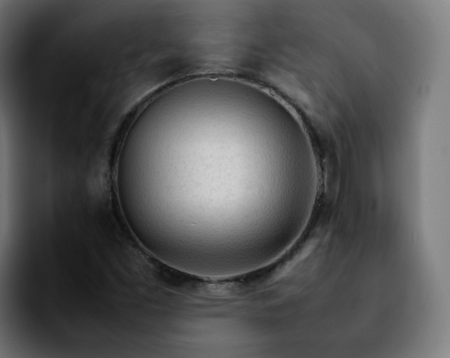 X0000092211453200709210941