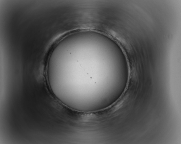 X0000092211454200709210941