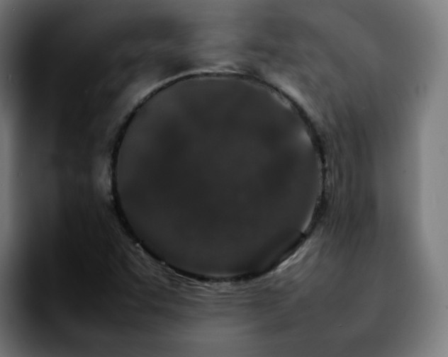 X0000092211455200709210941