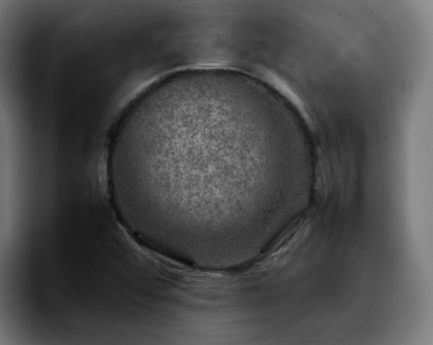 X0000092211456200709210941