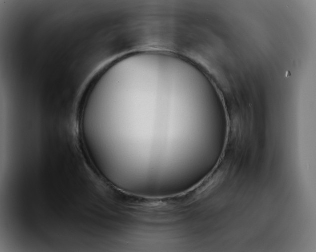X0000092211462200709210941