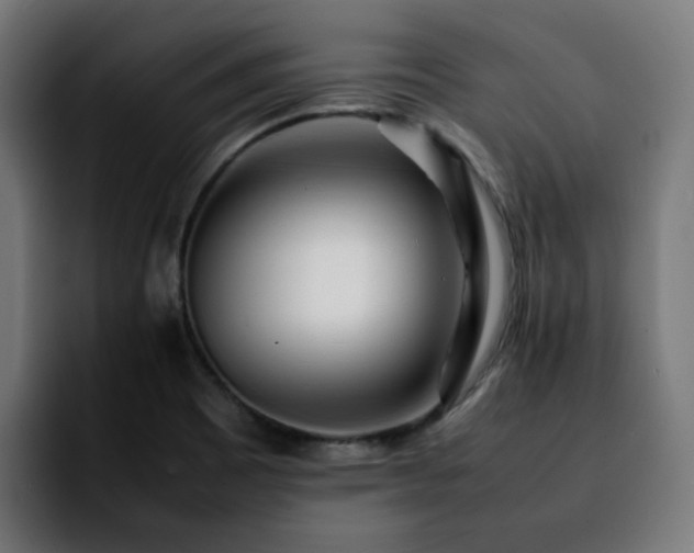 X0000092211465200709210941