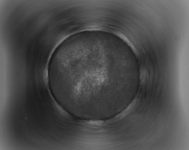 X0000092211466200709210941