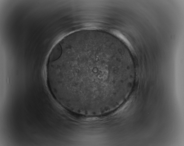 X0000092211467200709210941