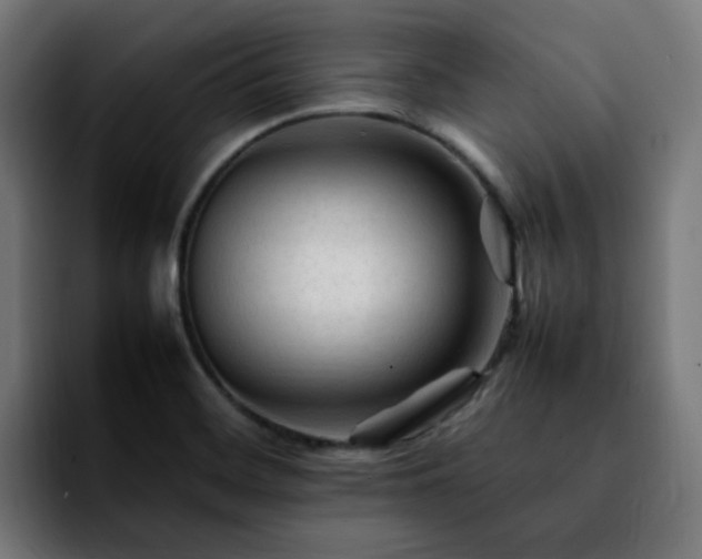 X0000092211468200709210941