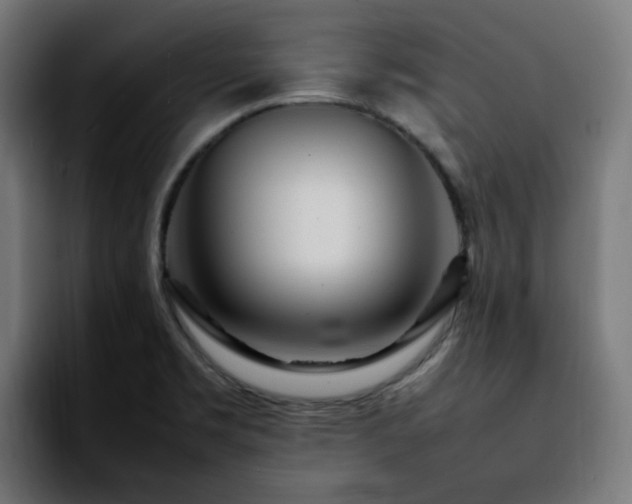 X0000092211469200709210941