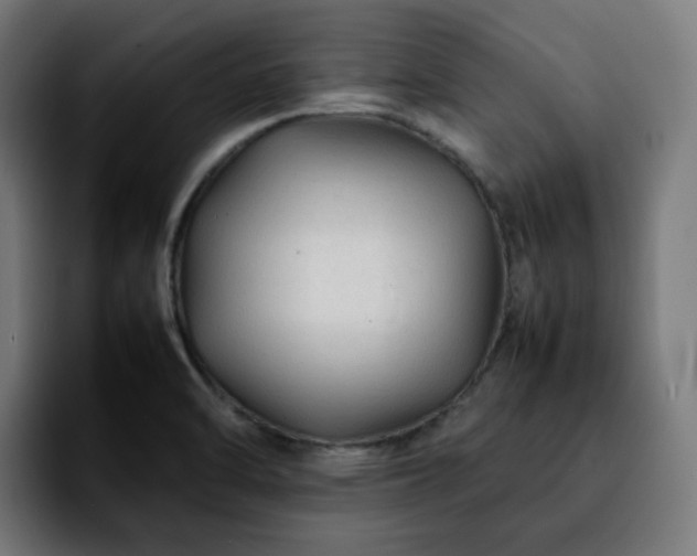 X0000092211470200709210941