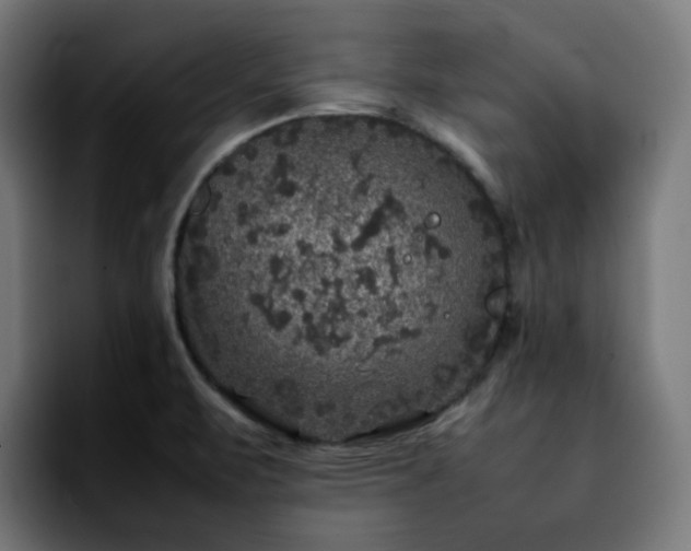 X0000092211471200709210941