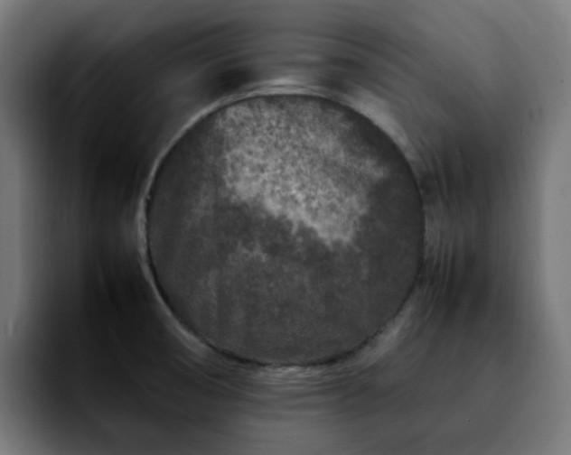 X0000092211474200709210941