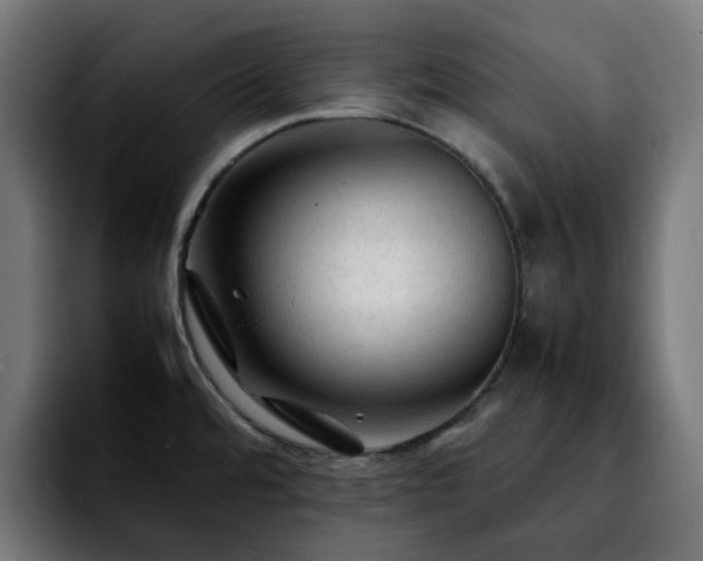 X0000092211480200709210941