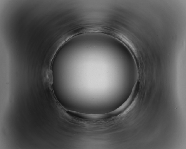 X0000092211481200709210941