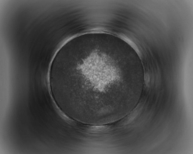X0000092211482200709210941