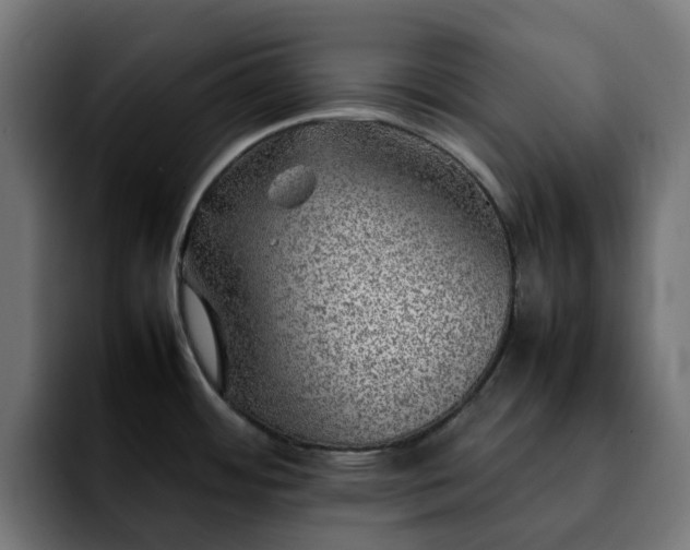 X0000092211484200709210941