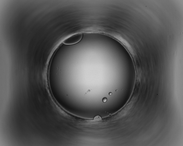 X0000092211486200709210941