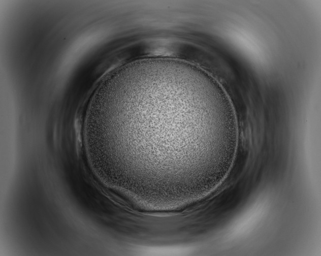 X0000092211487200709210941