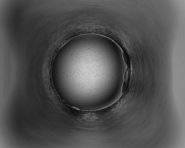 X0000092211489200709210940