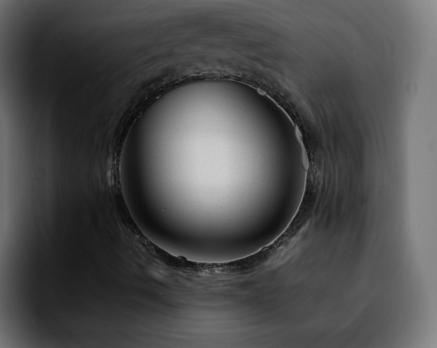 X0000092211490200709210940