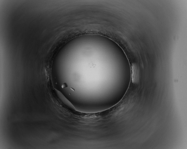 X0000092211491200709210940