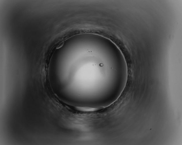 X0000092211493200709210940