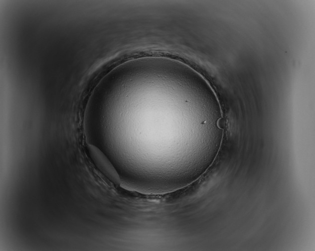 X0000092211494200709210940